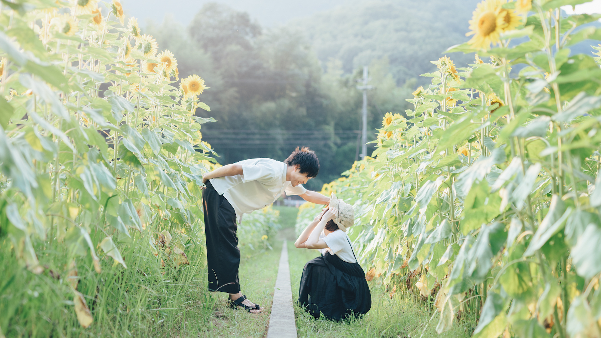 「ふるさと秦野・伊勢原」　生活感あふれる写真でつづる決定版写真集! 保存版 ふるさと秦野・伊勢原 生活感あふれる写真でつづる決定版写真集