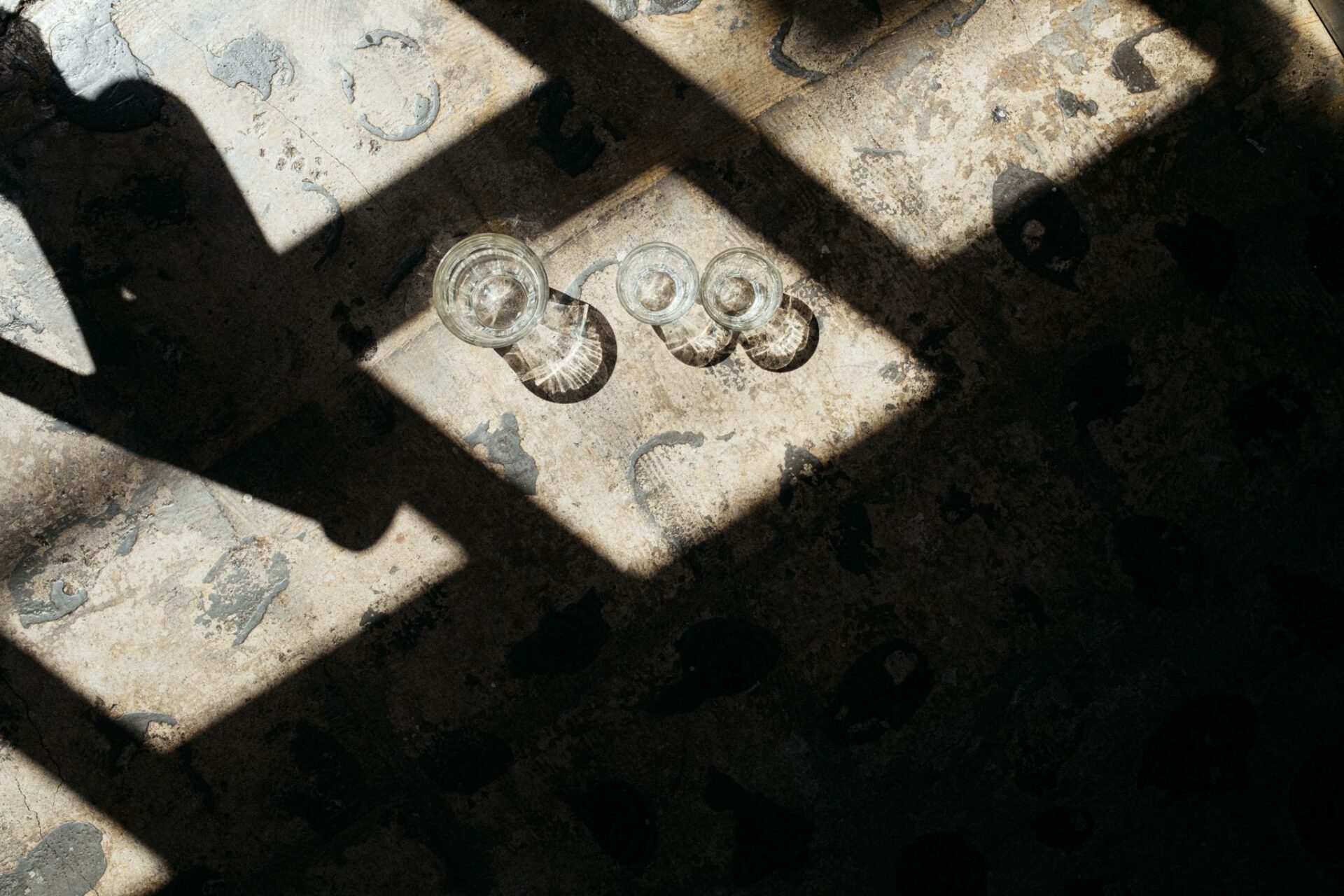 光の中の日本　1000人の写真家が撮った一年間 連載】時代を写した写真家100人の肖像 No.8 “居室から描き出した