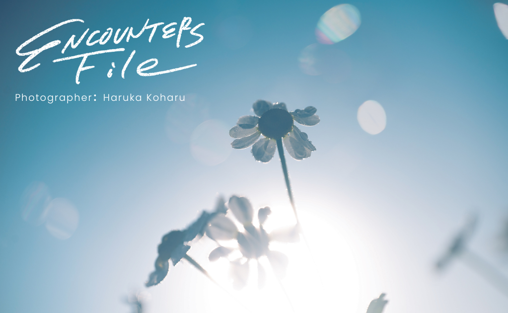 ENCOUNTERS File「花のカタチ」小春ハルカさんの作品