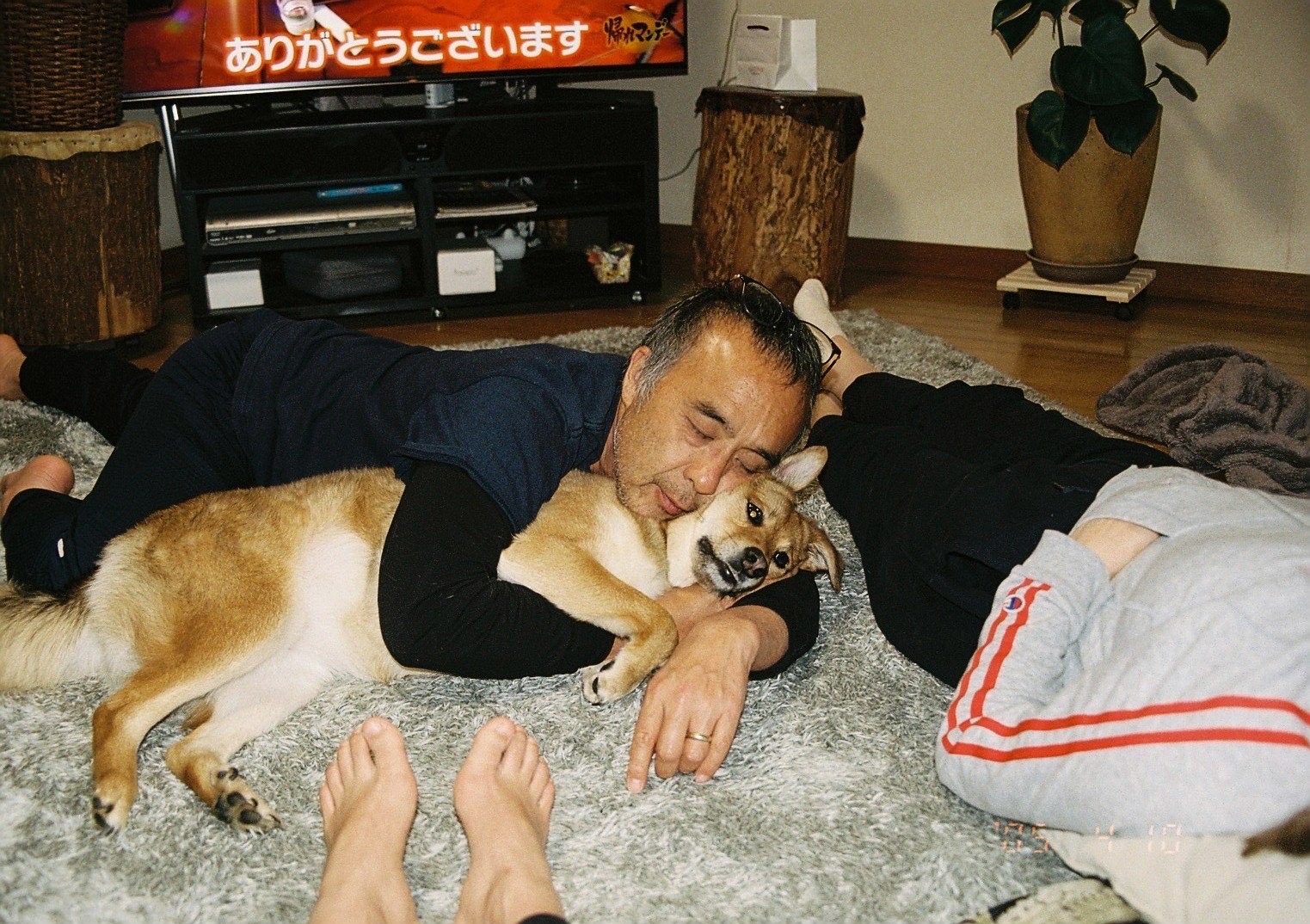 犬と寝ているお父さん