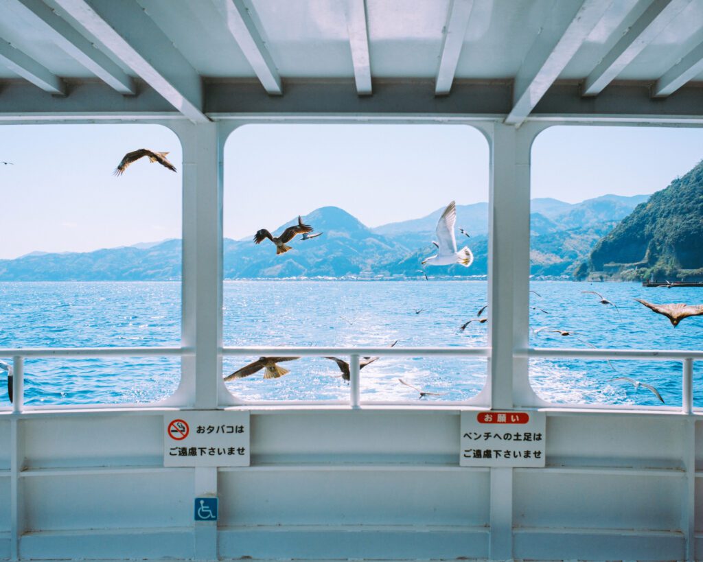 16474052eb04c54c3095182b943350