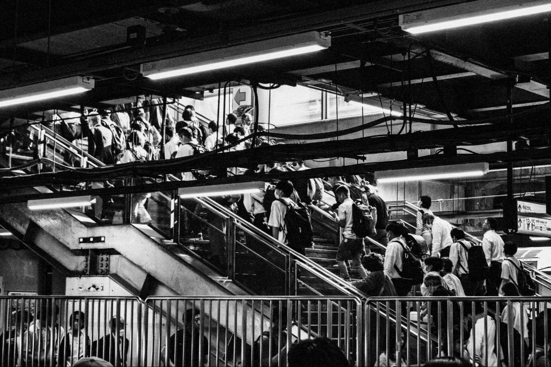 光の中の日本　1000人の写真家が撮った一年間 光の中の日本 : The heart of Japan 1000人の写真家が撮った一