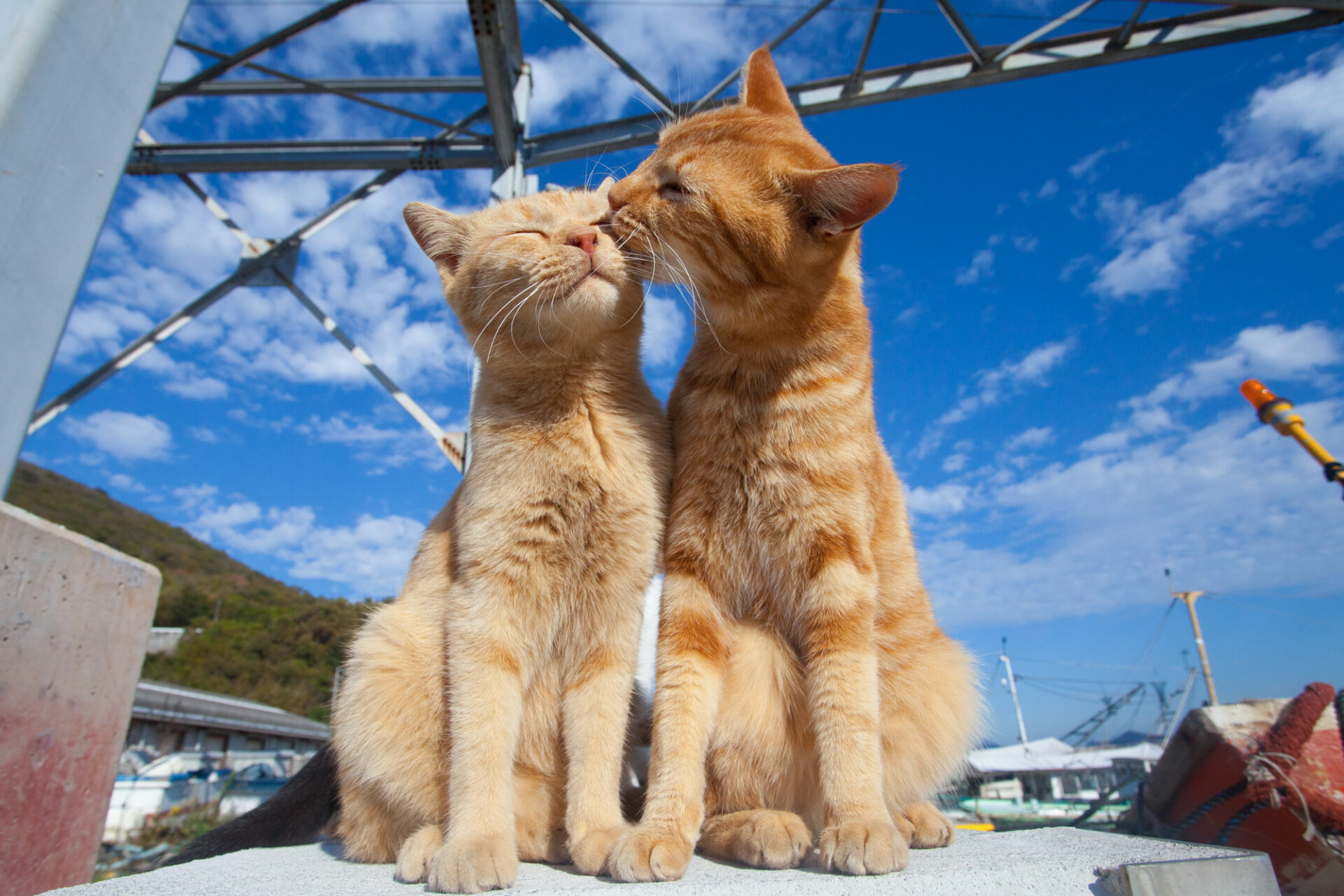 ca1a68e8bf65389db4d4e402f3f4ef