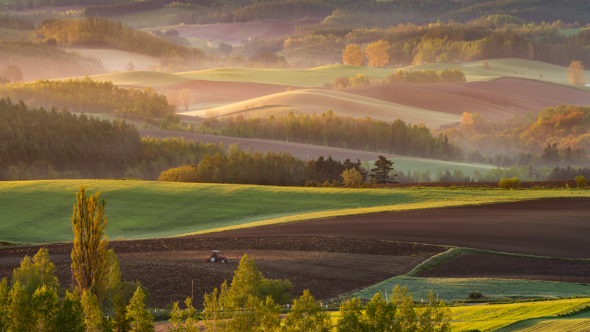 杉野安写真集 心蝕風景 心触風景 / Impressive Landscape - 杉野 安 / Yasushi Sugino
