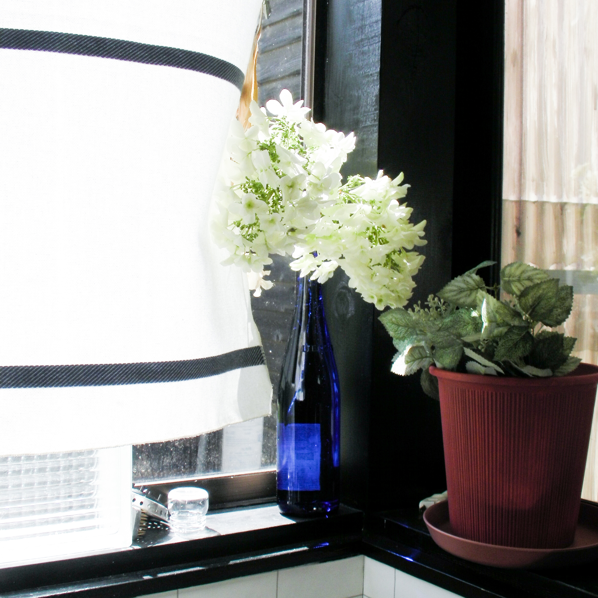 SANYO Xacti DMX-HD2000撮影の作例 窓辺にある白い花