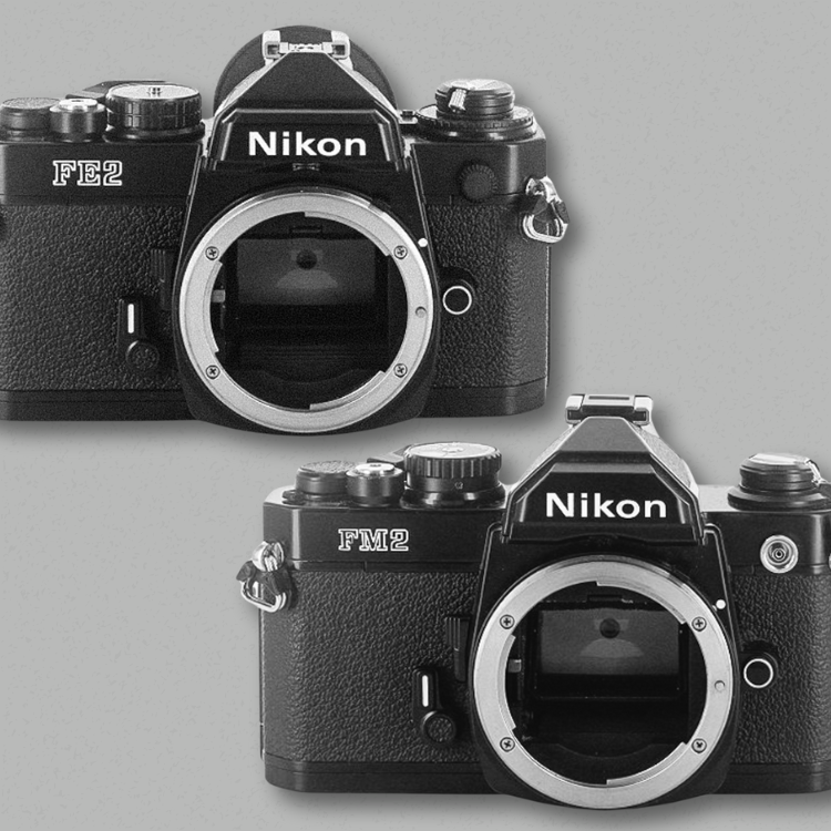 【ニコンのフィルムカメラ】Nikon FE2とFM2の違いって何？ #カメラのナニワの選び方