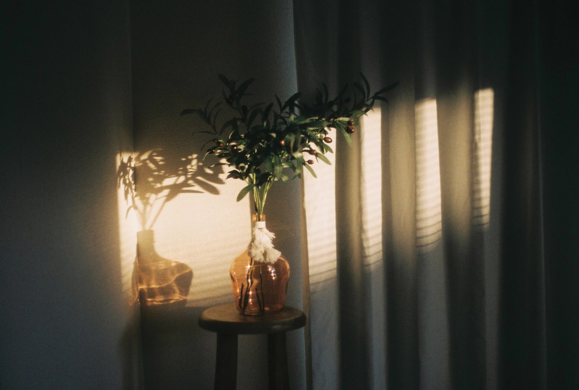 コンタックスT CONTAX T （初代）について(1/3)｜keisodo