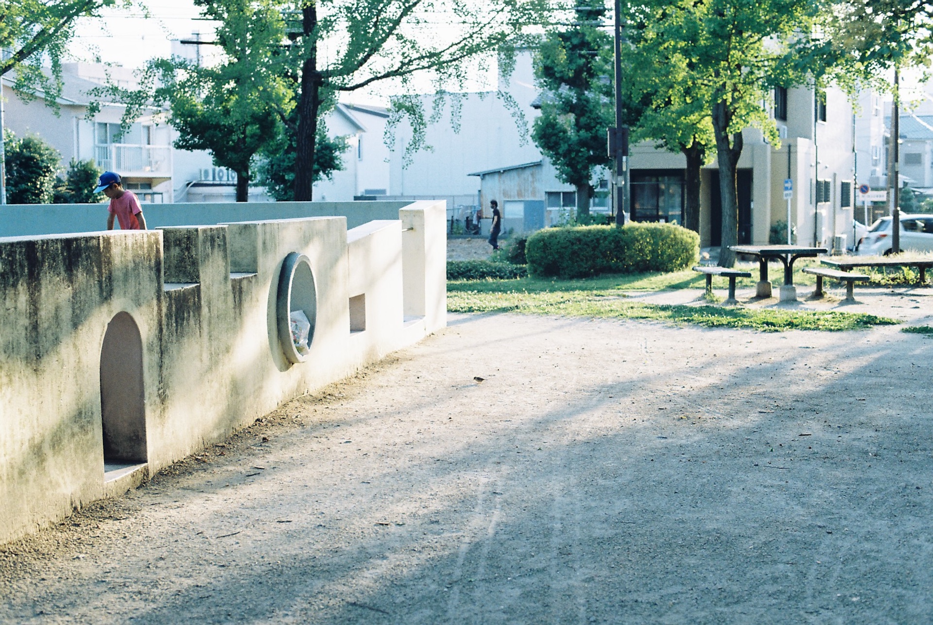 作例レビュー】Canon AE-1 Program #わたしのカメラ vol.189｜キヤノン